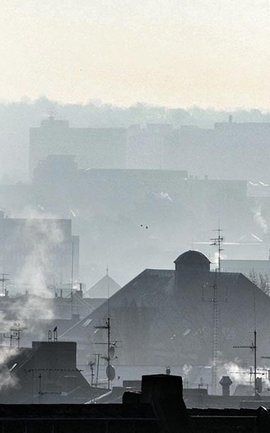 Feature-Cards_0003_House-Martin-Fisch-attribution-Credits to-marfis75 on flickr