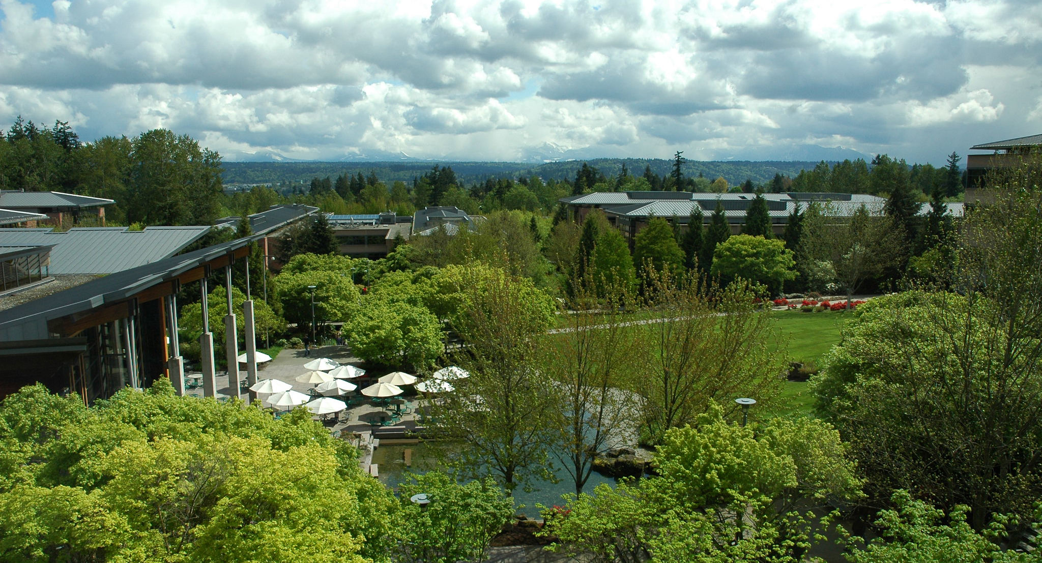 Why We MUST Switch to Truly Sustainable Construction NOW!